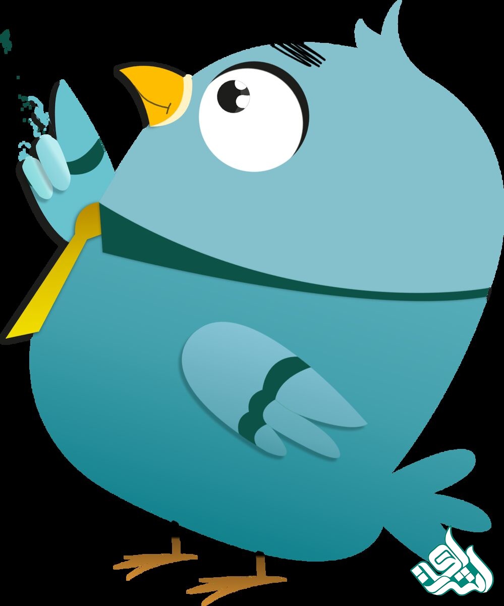 پرنده اشراق