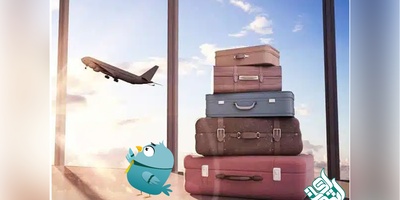 چطور یک ترجمه رسمی معتبر می‌تواند مسیر مهاجرت شما را کوتاه کند؟