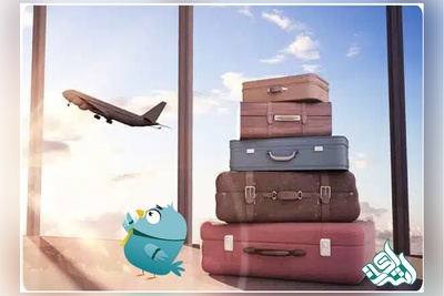 چطور یک ترجمه رسمی معتبر می‌تواند مسیر مهاجرت شما را کوتاه کند؟