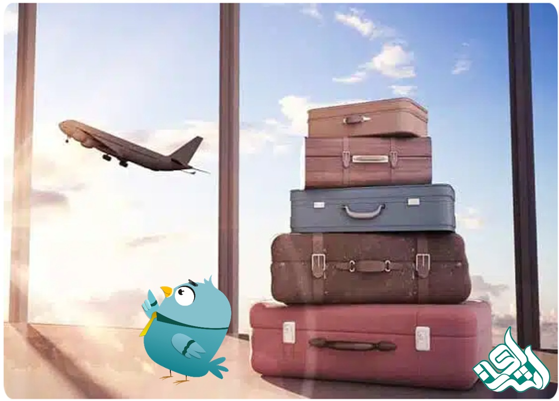 چطور یک ترجمه رسمی معتبر می‌تواند مسیر مهاجرت شما را کوتاه کند؟