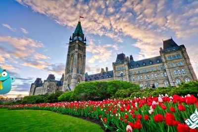 راحت ترین کشور برای گرفتن اقامت کجاست؟