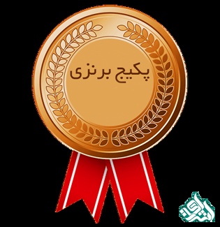 برنزی