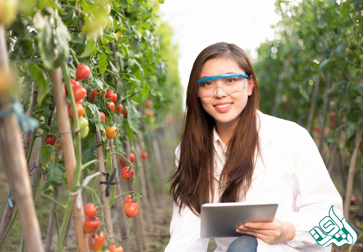 ترجمه تخصصی