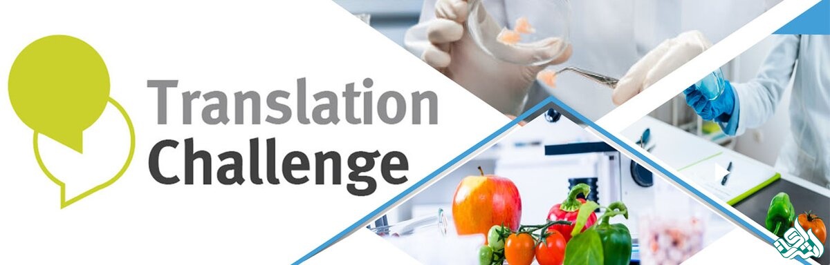 چالش های ترجمه