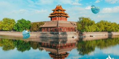 دارالترجمه رسمی چینی در اسلام آباد غرب؛ فوری و آنلاین