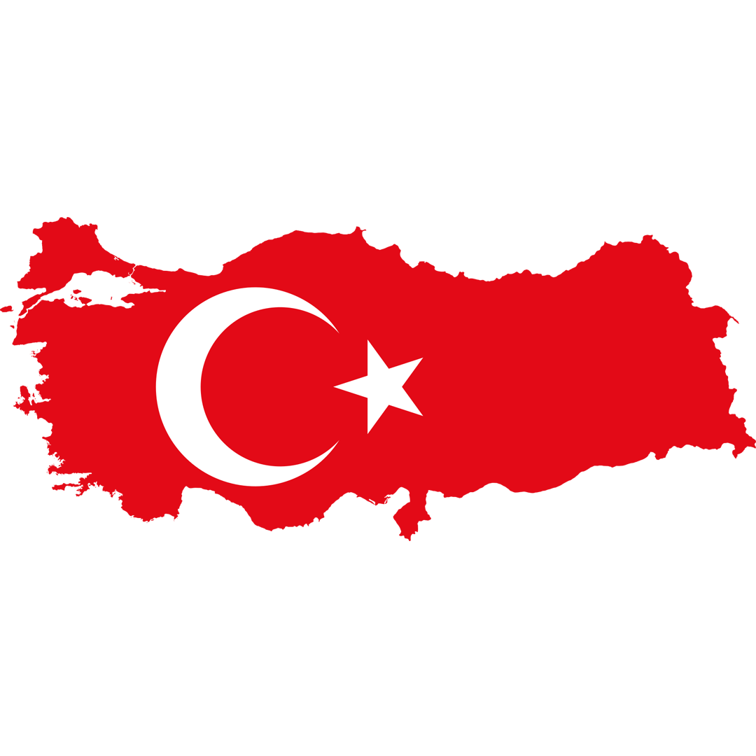ویراستاری ترکی استانبولی