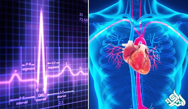 بیوالکتریک