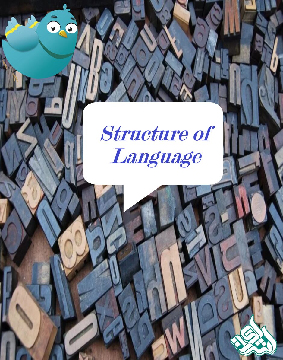 ساختار زبان