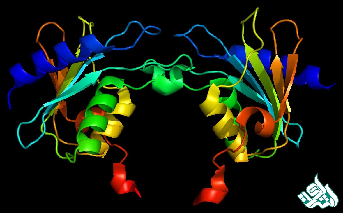 شیمی کاربردی