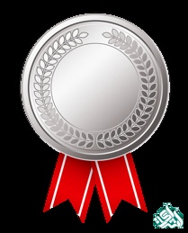 ترجمه نقره ای