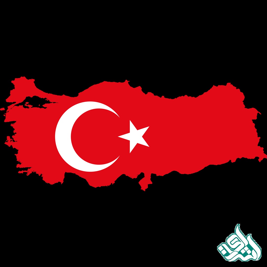 ویراستاری ترکی استانبولی