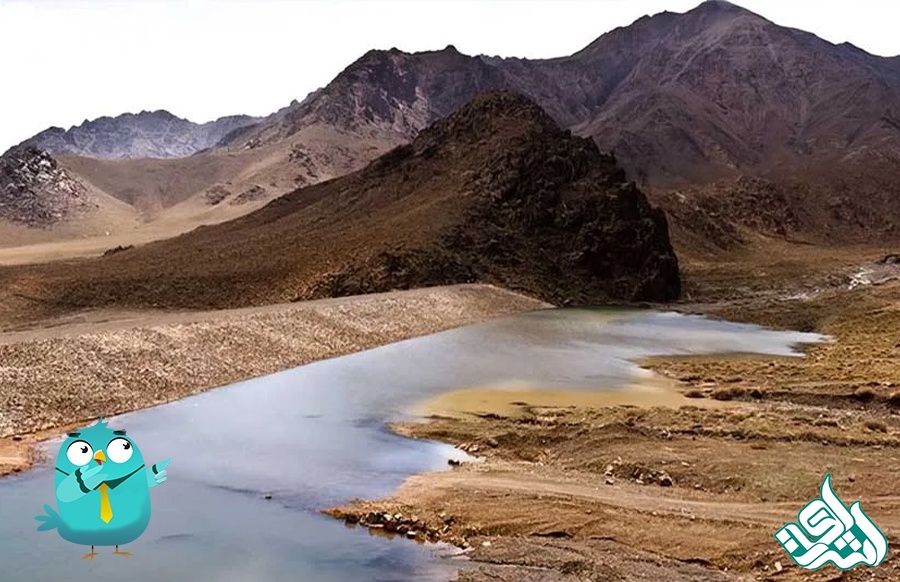 آران و بیدگل