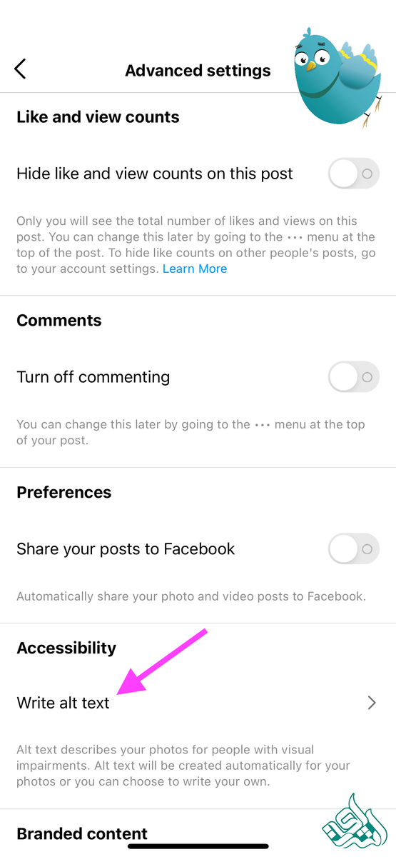 متن جایگزین را بهعکس های خود اضافه کنید