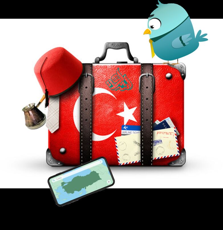 چمدان با پرچم ترکیه