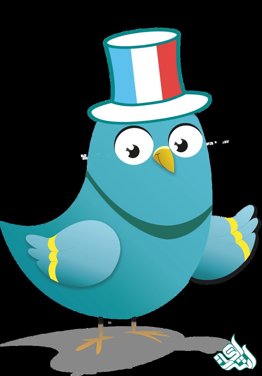 تولید محتوای تخصصی به فرانسوی