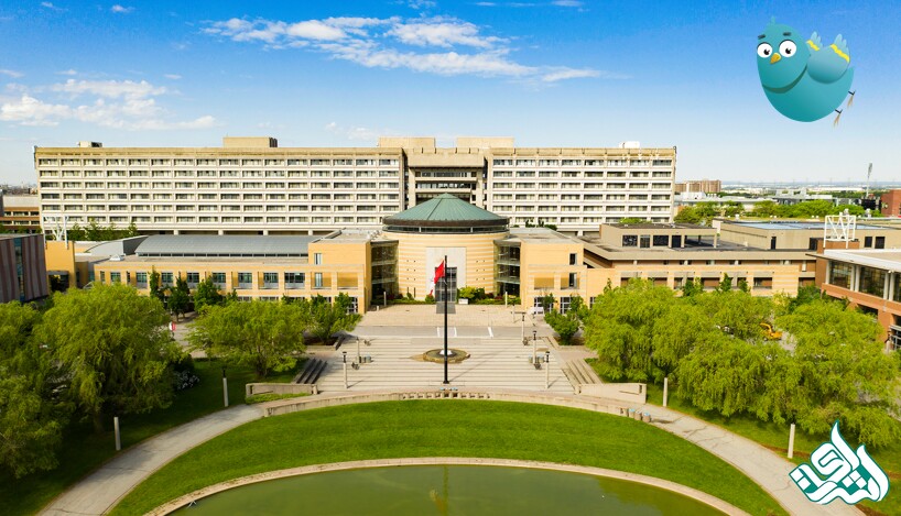 York University