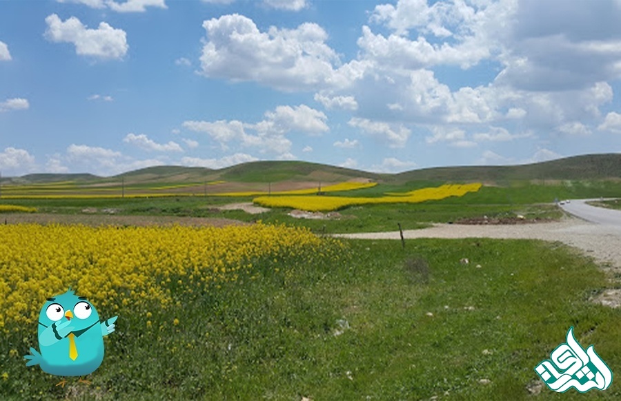 دهلران