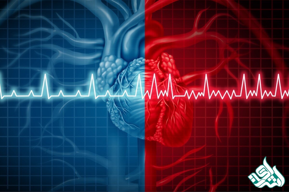 بیوالکتریک