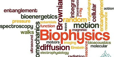 ترجمه مقالات رشته بیوفیزیک