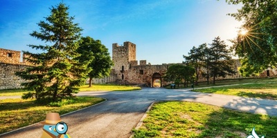 دارالترجمه رسمی زبان صربی