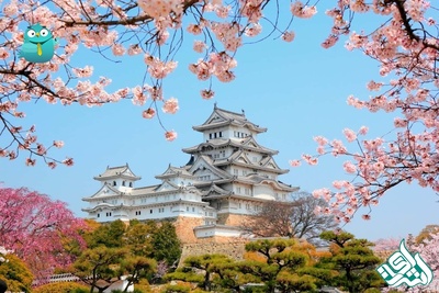 دارالترجمه رسمی ژاپنی در قم؛ فوری و آنلاین