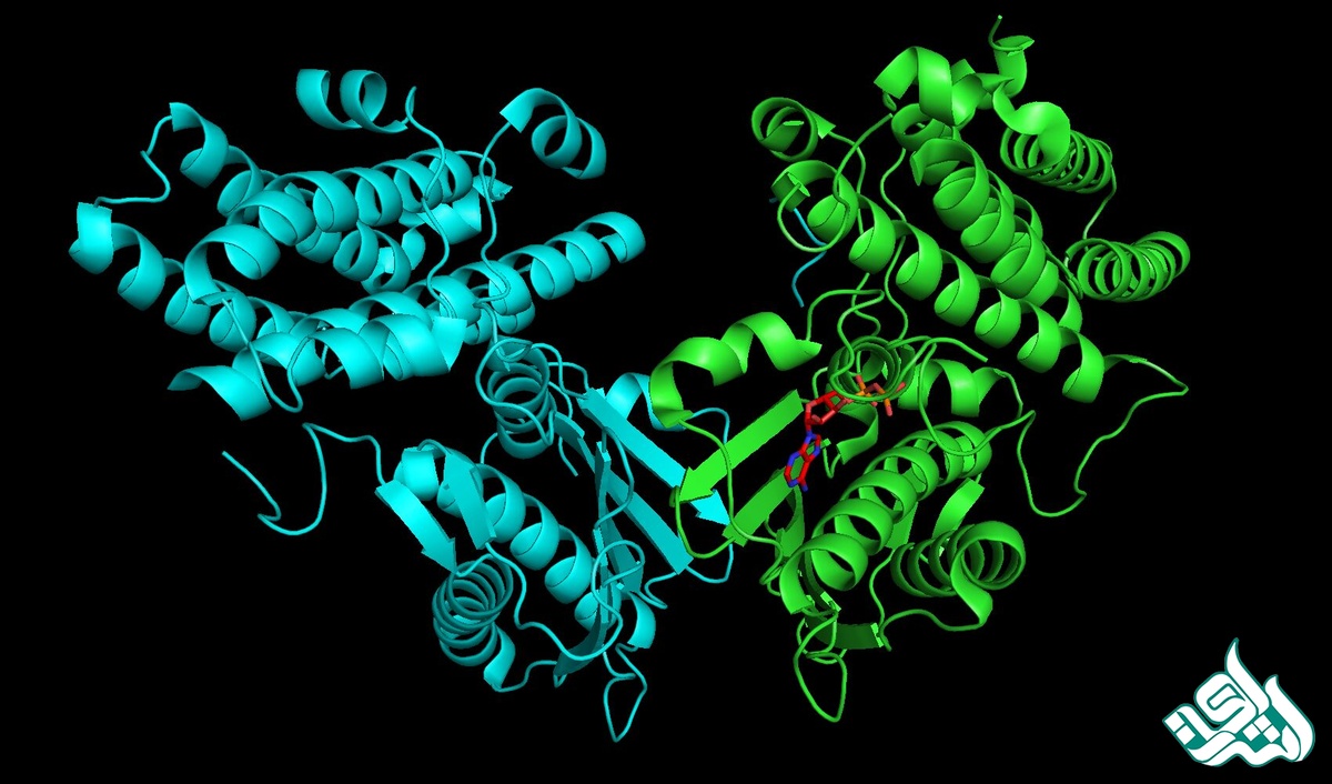 شیمی کاربردی