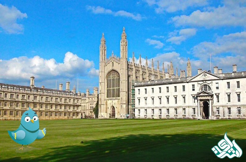 King's College London