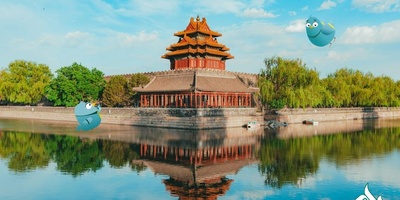 دارالترجمه رسمی زبان چینی