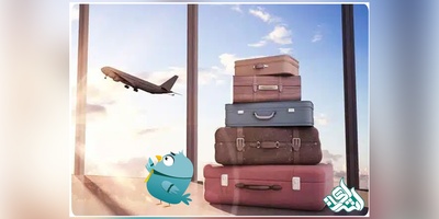 نقش ترجمه رسمی در موفقیت یا شکست پرونده‌های مهاجرتی