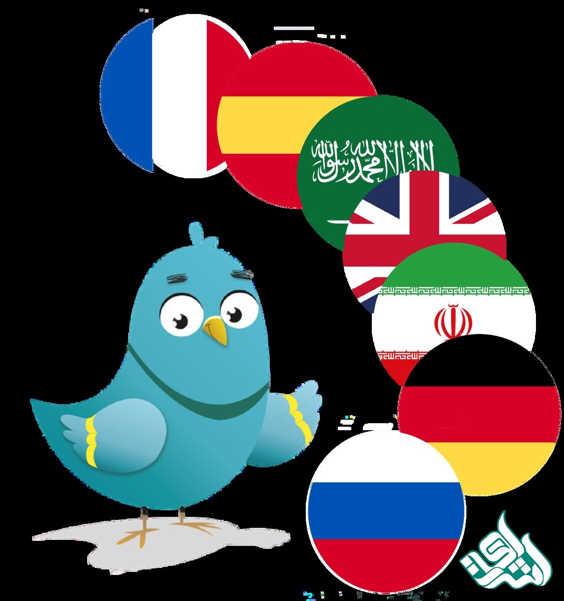 قیمت پارافریز