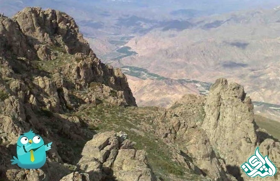 هادی شهر