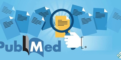 مراحل ترجمه تخصصی مقالات pubmed
