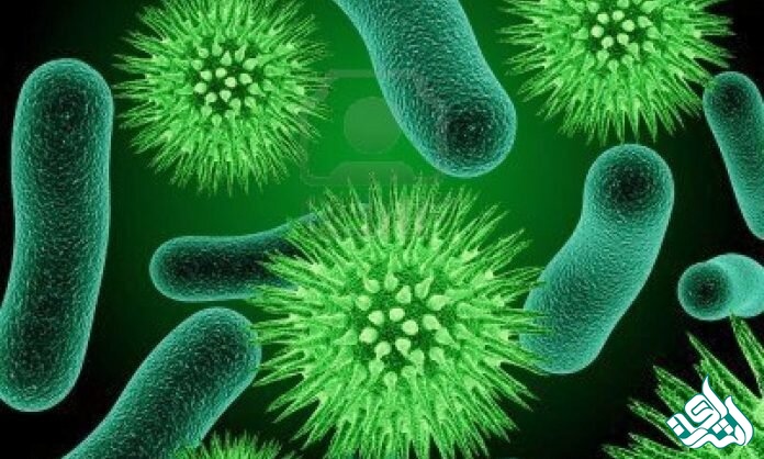 زیست فناوری میکروبی