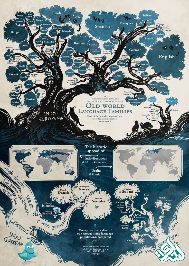 زیباترین زبان‌های دنیا