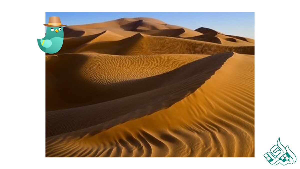 کویر مرنجاب