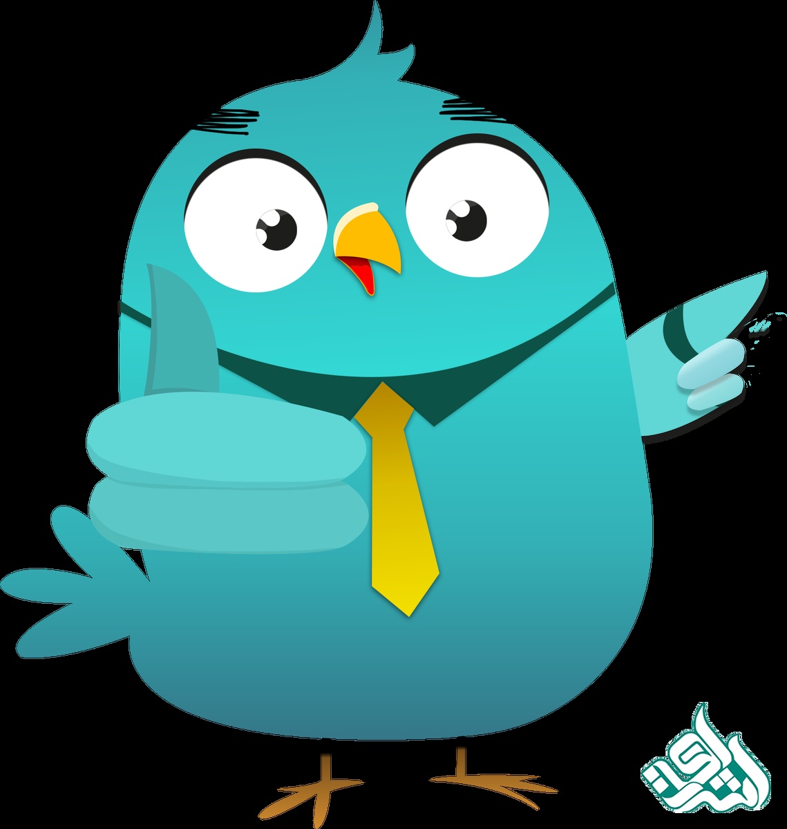 مهارت و تجربه