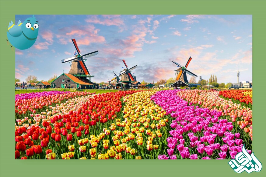 netherland