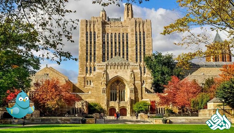 Yale University