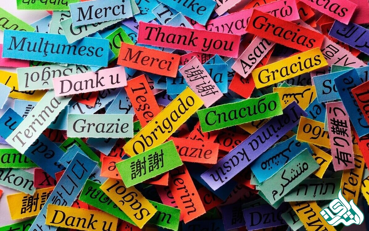 واژگان تخصصی