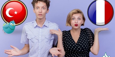 ترکیه یا فرانسه؟ کدام کشور برای مهاجرت بهتر است؟