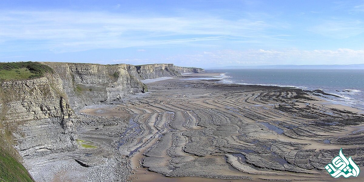 علوم زیست محیطی