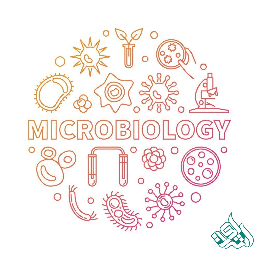 میکروبیولوژی 