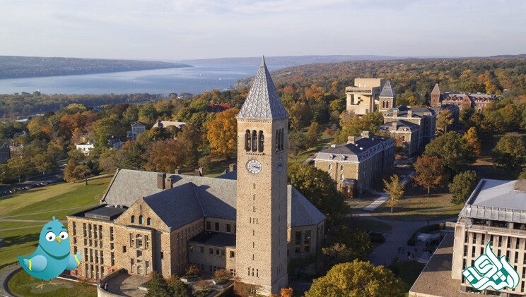 Cornell University