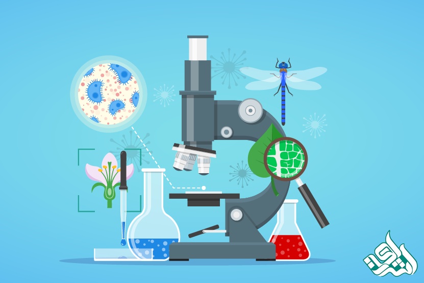 ترجمه تخصصی متون