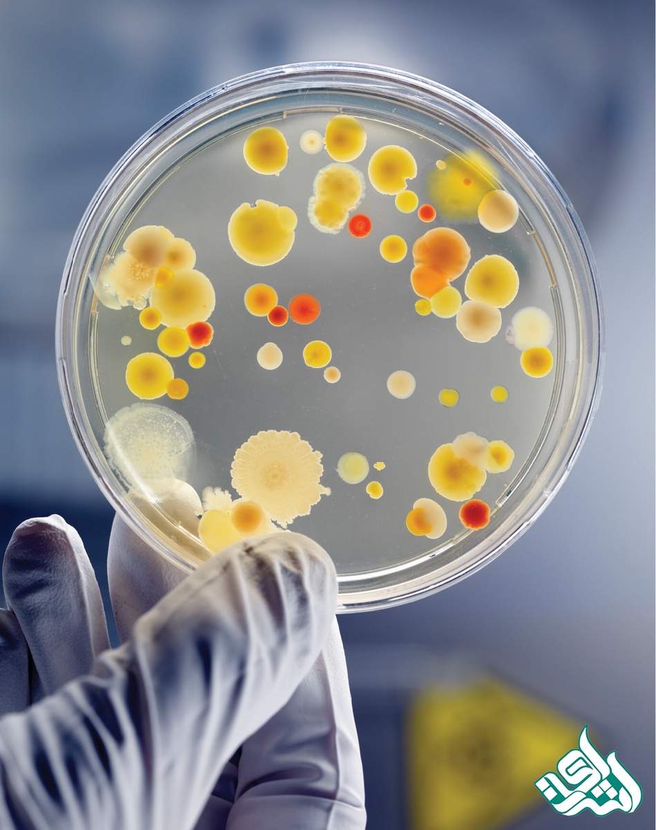 میکوبیولوژی